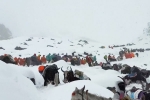 Mount Everest Snowstorm latest, Mount Everest Snowstorm videos, more than 1000 stranded near mount everest because of snow storm, Accident