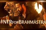 NTR, Brahmastra breaking news, ntr turns chief guest for brahmastra event, Fox star studios