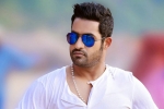 NTR exclusive, NTR next film, ntr s jai lava kusa updates, Nannaku prematho