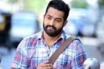 Bobby, NTR news, official ntr s next film locked, Sardar gabbar singh Bobby, NTR news, official ntr s next film locked, Sardar gabbar singh