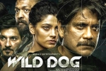 Matinee Entertainment, Wild Dog release poster, release date of nag s wild dog is out, Big screens Matinee Entertainment, Wild Dog release poster, release date of nag s wild dog is out, Big screens