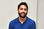 Naga Chaitanya updates, Naga Chaitanya news, change of plans for naga chaitanya, Romantic comedy