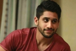 Naga Chaitanya web project, Naga Chaitanya web series news, naga chaitanya in talks for a web film, Web film Naga Chaitanya web project, Naga Chaitanya web series news, naga chaitanya in talks for a web film, Web film