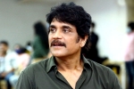 Nagarjuna, Nagarjuna latest updates, nagarjuna in a periodic drama, Prasanna kumar bezawada