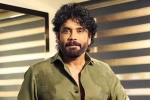 Nagarjuna Personal Rights court, Nagarjuna Personal Rights news, delhi high on nagarjuna s personal rights, Youtube