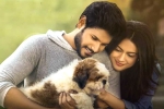 Sundeep Kishan movie review, Ninu Veedani Needanu Nene movie review and rating, ninu veedani needanu nene movie review rating story cast and crew, Hunting