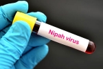 Nipah Virus - Kerala, Nipah Virus - Kozhikode, nipah virus is back again two deaths registered, Natural death