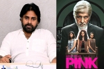 Pawan Kalyan latest, Pawan Kalyan, powerstar in talks for pink remake, Pink remake Pawan Kalyan latest, Pawan Kalyan, powerstar in talks for pink remake, Pink remake