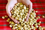 Pistachios rich in proteins, Pistachios protein, pistachios are a perfect protein snack, Walnuts