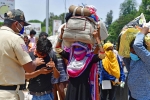 covid-19, lockdown, plight of migrant workers baby shakes to wake up deceased mother, Todd
