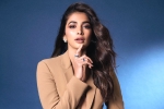 Pooja Hegde Telugu, Pooja Hegde Hindi, pooja hegde lines up bollywood films, Dusshera