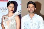UV Creations, Pooja Hegde updates, pooja hegde all set to romance prabhas, Duvvada jagannadham UV Creations, Pooja Hegde updates, pooja hegde all set to romance prabhas, Duvvada jagannadham