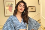 Pooja Hegde, Boney Kapoor, pooja hegde in pink remake, Pink remake Pooja Hegde, Boney Kapoor, pooja hegde in pink remake, Pink remake