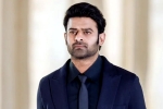 Maruthi, Prabhas, new updates of prabhas and maruthi film, Raja deluxe Maruthi, Prabhas, new updates of prabhas and maruthi film, Raja deluxe