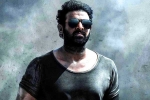 Prabhas, Prabhas updates, prabhas salaar to have malayalam star, Shruthi