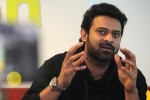 Prabhas new movie, Sree Leela, two young beauties in talks for prabhas next, Pelli sandad Prabhas new movie, Sree Leela, two young beauties in talks for prabhas next, Pelli sandad