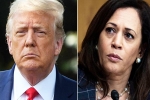 Kamala Harris, Donald Trump, astrologer predictions about the new us president, Amy tripp