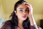 Priyanka Chopra Don't Look For Virgin Wife, Priyanka Chopra statement, priyanka chopra breaks silence on don t look for virgin wife comment, Instagram