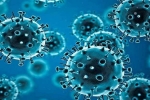 Coronavirus, R.1 Coronavirus breaking updates, r 1 variant of coronavirus traced in 35 countries, Coronavirus in usa