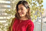 Rashmika Mandanna new movies, Rashmika Mandanna pan Indian films, rashmika mandanna bags one more biggie, Gautam tinnanuri