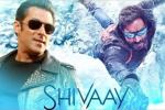 Salman Khan new, Ae Dil Hai Mushkil, salman khan to promote shivaay, Big boss