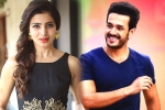 Samantha next project, Samantha latest updates, samantha and akhil to clash in august, Bollywood films Samantha next project, Samantha latest updates, samantha and akhil to clash in august, Bollywood films