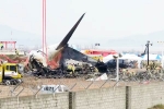 South Korea Plane Crash deaths, South Korea Plane Crash reason, pilot made mayday call and mentioned bird strike in south korea plane crash, Airlines