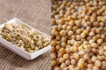 Sprouts, Sprouts vs Boiled Chana which is better, sprouts vs boiled chana for weight loss, Breakfast