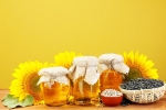 Sunflower Oil, Sunflower Oil consumption, long term effects of consuming sunflower oil on heart health, About