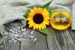 Sunflower seeds nutritional benefits, Sunflower seeds breaking, sunflower seeds and their nutritional benefits, Nutritional benefits