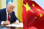 Trump for Chinese students new updates, Trump for Chinese students new updates, trump opens us doors to 6 lakh chinese students, Marco rubio