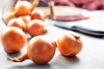 Raw Onion, Raw Onion Vs Metformin for diabetes, type 2 diabetes is raw onion better than metformin, Blood sugar levels