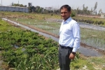 uttar pradesh, uttar pradesh, this u s return mba graduate is transforming a village barren land into an organic farming facility, Ghaziabad