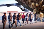 USA Illegal Immigrants news, USA Illegal Immigrants latest breaking, usa arrests over 500 illegal immigrants, Violation