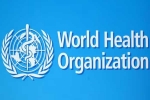 USA, World Health Organization news, usa withdraws from world health organization, Trump administration USA, World Health Organization news, usa withdraws from world health organization, Trump administration