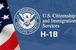 USICS on H1B visas, USICS report on Indians, uscis report claims more than 74 percent of indians accounted on h1b visas, Up government report USICS on H1B visas, USICS report on Indians, uscis report claims more than 74 percent of indians accounted on h1b visas, Up government report