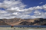 China, Galwan valley, india orders china to vacate finger 5 area near pangong lake, Envoy
