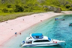Pink Beach in Indonesia suggestion, Pink Beach in Indonesia suggestion, which pink beach should you visit in indonesia, Dance