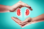 World Kidney Day 2025 food, World Kidney Day 2025, world kidney day 2025 theme and health tips, Us experts