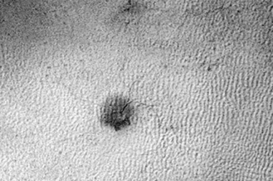 Yards long Spider on Mars, NASA