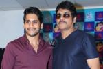 Nagarjuna news, Akkineni family, akkineni fans to have a double treat, Saahasam swaasaga saagipo