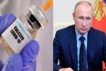 antibodies, Russia, russia launched the first covid 19 vaccine how it works, Eyebrows