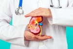 Kidney Health experts, Kidney Health suggestions, top fruits that are good for kidney health, Tasty