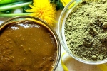 Henna conditioner, Henna latest updates, how henna helps for hair growth and health, Hair dye