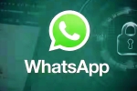 iOS Testing Multi-Account Support for WhatsApp breaking news, iOS Testing Multi-Account Support for WhatsApp breaking updates, whatsapp for ios testing multi account support, Whatsapp