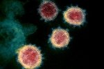 Mu variant breaking news, Mu variant in Columbia, one more new variant of coronavirus traced in columbia, Anthony fauci