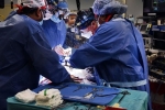 Maryland Hospital, David Bennett heart transplant latest updates, us surgeons transplant pig heart into a human patient, Transplants Maryland Hospital, David Bennett heart transplant latest updates, us surgeons transplant pig heart into a human patient, Transplants