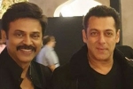 Aashritha daggubati, Aashritha daggubati, watch salman khan shake legs with venkatesh at his daughter aashritha daggubati s wedding, Bollywood star salman khan