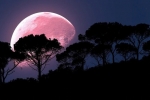 supermoon, coronavirus, april s super pink moon to rise today biggest of the year, Supermoon supermoon, coronavirus, april s super pink moon to rise today biggest of the year, Supermoon
