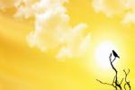 longest day of the year in the UAE, summer solstice, friday is the longest day of the year, Uae news